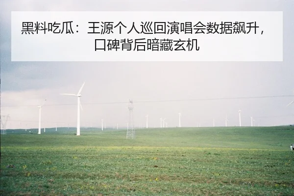 黑料吃瓜：王源个人巡回演唱会数据飙升，口碑背后暗藏玄机